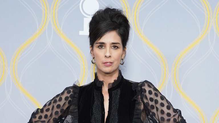 Read more about the article Sarah Silverman Hits Stumbling Block in AI Copyright Infringement Lawsuit Against Meta